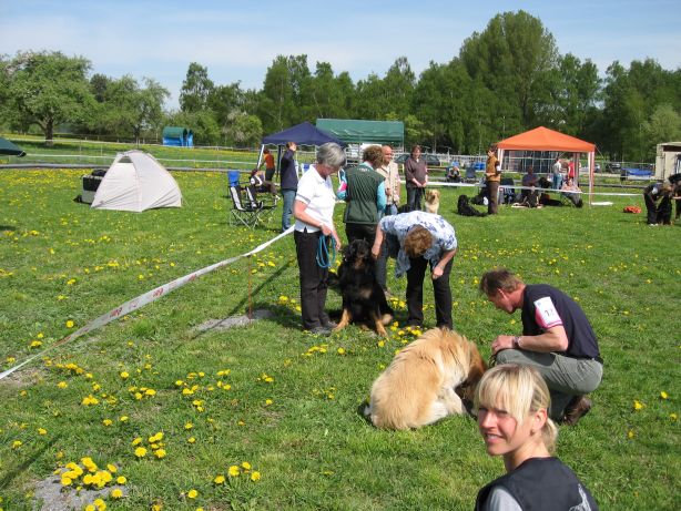 Abtasten des Rückens